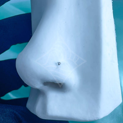 Piercing Nariz Ponto de Luz
