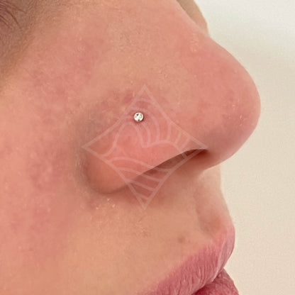 Piercing Nariz Ponto de Luz